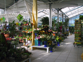 Blumen und Pflanzen soweit das Auge reicht. Das erwartet Sie in unseren Blumenh&auml;usern. 